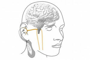 Nerve Stimulation: the Brain is Not Always Listening