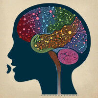 New insights into the mechanisms of language recovery after stroke