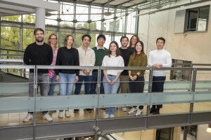 Ominous false alarm in the kidney