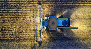 Plants use engineering principles to push through hard soil