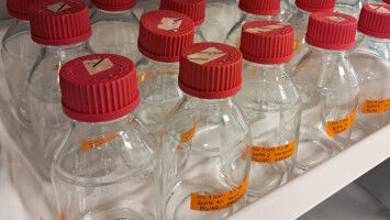 Previously uncultivable bacteria provide new insights into groundwater ecosystems