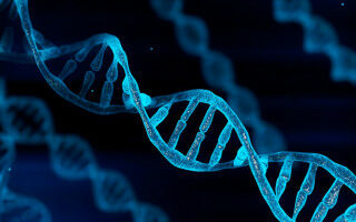 Previously unidentified genetic determinants of rare disease discovered