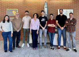 Researchers decipher mechanism that prevents the loss of brown adipose tissue activity during ageing