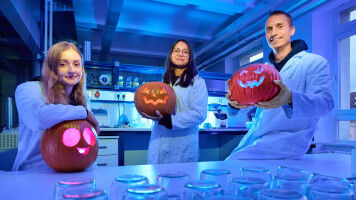 Researchers Investigate Genetic Discoloration in Gourds