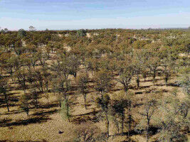 Same ecosystem, different fix