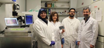 Schulich researchers develop next-generation gut-health system
