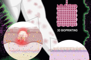 Skin models using 3D bioprinting
