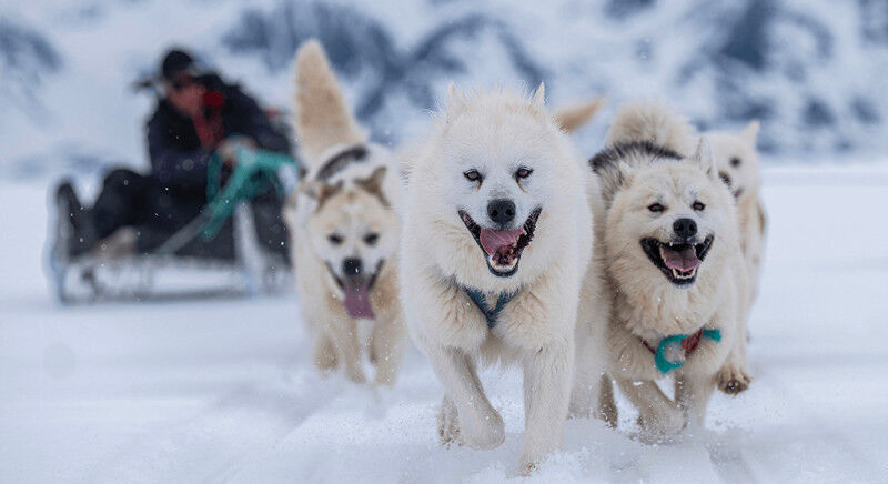 Dog skeletons and fur decorations on historical anoraks are among the researcher