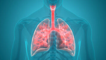 Study unravels puzzle of how viruses can cause long-term lung damage