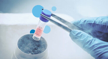 'super stem cells', seeing potential for improved fertility treatment