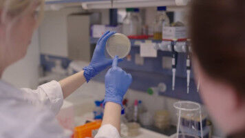 The emergency switch: How bacteria react to hunger at lightning speed