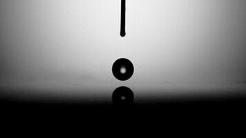 The tiny droplets that bounce without bursting