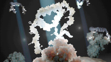 Ultra-selective aptamers give viruses a taste of their own medicine