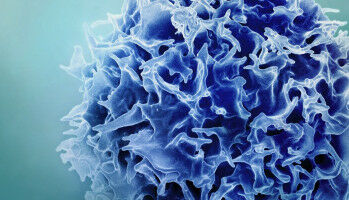 Vaccine against COVID-19: an avenue for longer-lasting protection