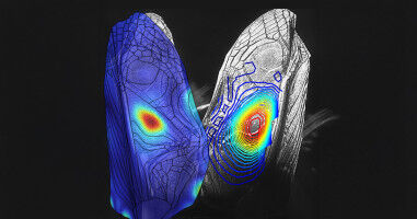 Long-held mystery of how crickets sing