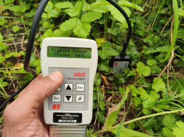 When, where and how wet is the forest?