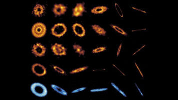 24 Debris Disks at the Highest Resolution