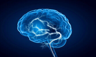 A poorly 'cleaned' brain increases the risk of psychosis