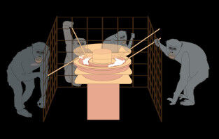 Chimpanzees are better at solving resource dilemmas in larger, more tolerant groups