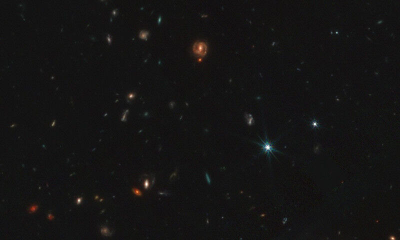 The little red dots are young black holes, enshrouded in a cocoon of gas, which 