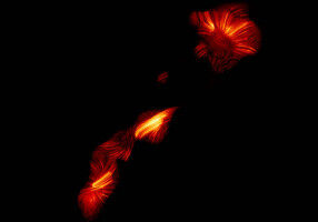 Cosmic dance of light and magnetism produced by a black hole