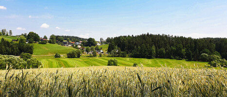 Diversity in the village, wasteland in the meadow