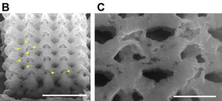 Engineering Tiny 3D Metallic Parts