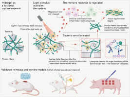 Fighting superbugs with nets and light switches