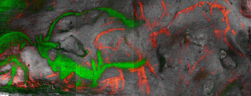 Image hyperspectrale obtenue par reflectance imaging spectroscopy (RIS) du panne
