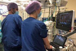 Visualizing blood flow with ultrasound in the neck