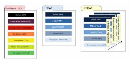 Invasive species: improving the assessment of how they redefine ecosystems