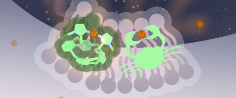 Copper transport against cancer