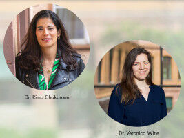 The human metaorganism: understanding obesity individually