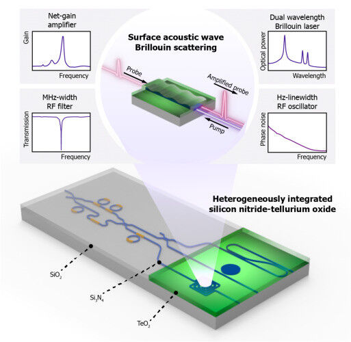 A schematic of the photonic chip