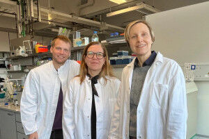 New Factor Involved in Pulmonary Hypertension