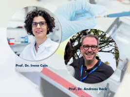 Study in living cells reveals new insights into membrane receptors