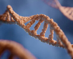 Technique to identify malfunctions in our genetic code