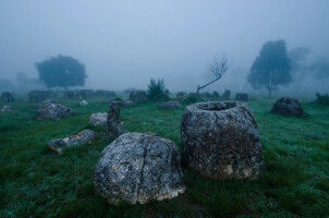 Tree cover shapes freshwater ecosystems over millennia