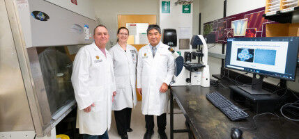 Common vitamin to treat the aggressive brain cancer glioblastoma