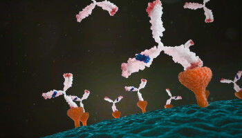 Towards new treatments for autoimmune diseases