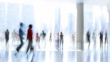 10 Professors appointed