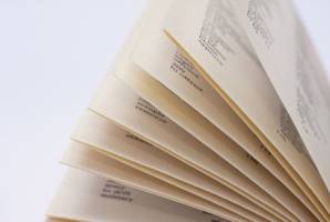 2012 Word of the Year: Green-On-Blue