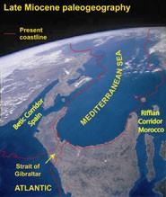 MEDGATE is now looking to recruit nine Early Stage Researchers (PhD studentships