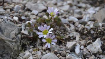 3 April: Garden Tour - 