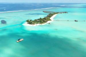 3 Questions: Harnessing wave power to rebuild islands