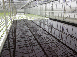 8.1 million euros for innovative research greenhouse