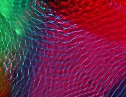 A 100-year-old physics problem has been solved at EPFL