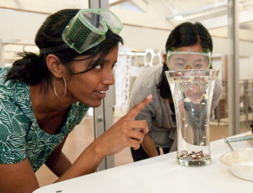 Co-term grad student Indu Premakumar and GSB student Joy Sun work on a project t