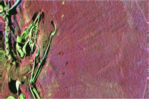 A pigment of our imagination