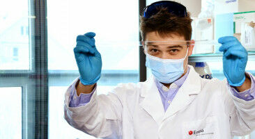 A polymer patch for the abdominal cavity